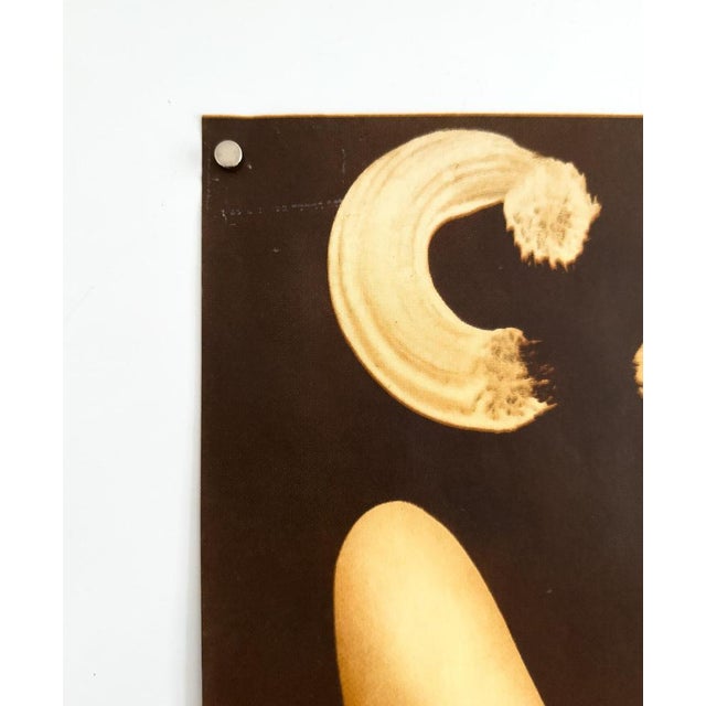 Circus Original Circus Poster by Jerzy Czerniawski, 1978 For Sale - Image 6 of 8