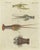 Friedrich Justin Bertuch, Various Lobster and Shrimp, Paper For Sale - Image 6 of 6