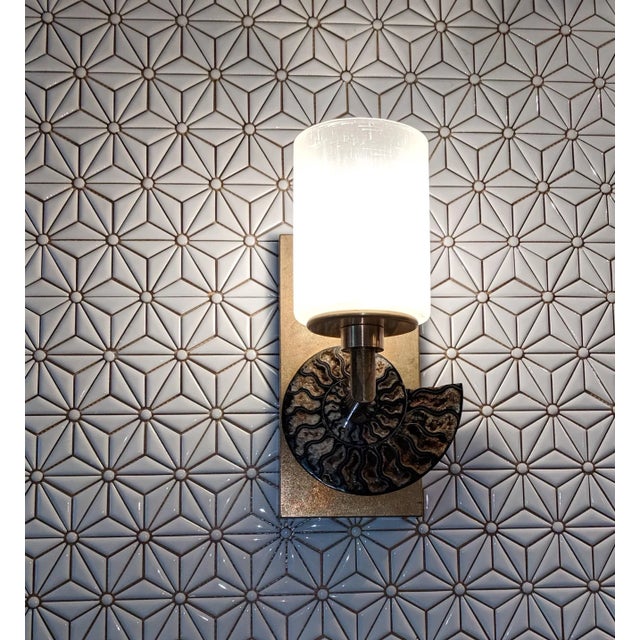 2010s Natural Ammonite Nautilus Fossil Wall Light in Solid Brass and Glass Shade For Sale - Image 5 of 6