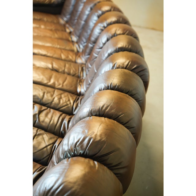 Brown DS600 Non-Stop Snake Sofa in Brown Leather by Ueli Berger for de Sede, 1970s, Set of 16 For Sale - Image 8 of 18