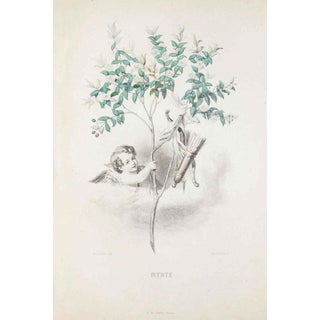 J. J. Grandville, Myrtle, The Animated Flowers Vol. I, 1847, Lithograph For Sale