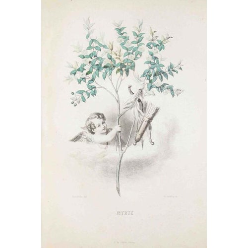 J. J. Grandville, Myrtle, The Animated Flowers Vol. I, 1847, Lithograph For Sale