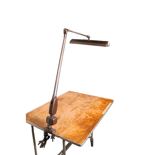 Mid 20th Century Adjustable Flex Arm Task Lamp by Dazor For Sale - Image 13 of 14