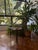 Joaquim Tenreiro Pair of “Curva” Chairs Attributed to Joaquim Tenreiro, Brazil, C. 1950s–1960s For Sale - Image 4 of 8