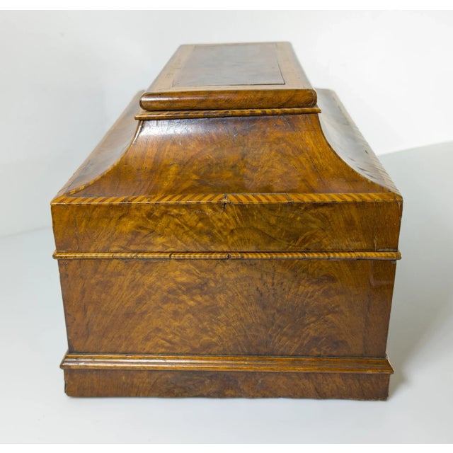 19th Century English or Italian Burl Walnut Document Box Casket For Sale In New York - Image 6 of 12