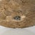 Italian Modern Round Side Table in Metal, Formica and Travertine, 1980s For Sale - Image 15 of 16