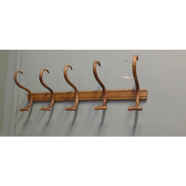 Large Bentwood Hat and Coat Hooks, 1900 For Sale - Image 3 of 6