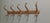 Large Bentwood Hat and Coat Hooks, 1900 For Sale - Image 3 of 6