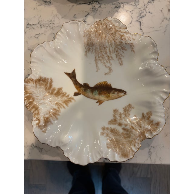 Antique Plates Limoges Gold Rimmed (14 Piece Set) For Sale - Image 12 of 17