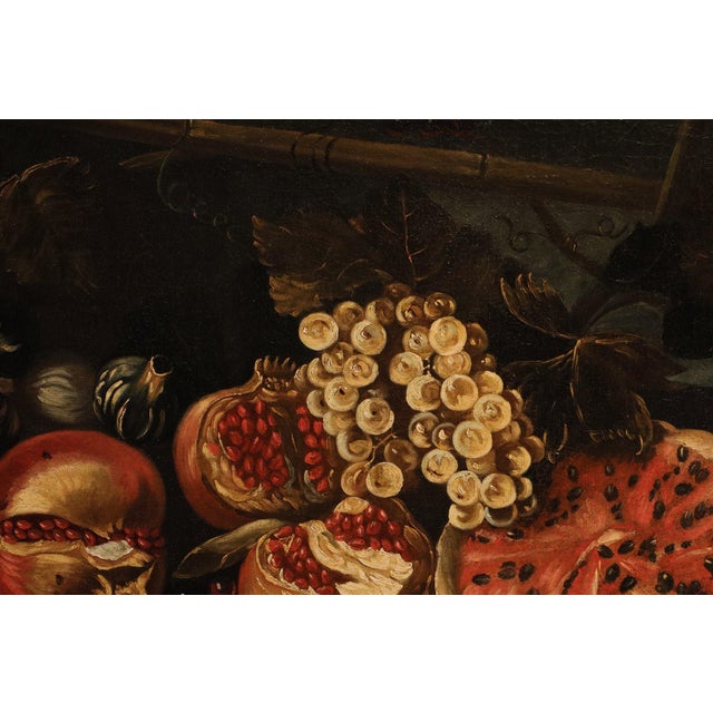 Michele Pace, Detto Michelangelo Del Campidoglio, Cerchia Di, Still Life with Fruit Peace, 1680, Oil on Canvas For Sale - Image 10 of 15