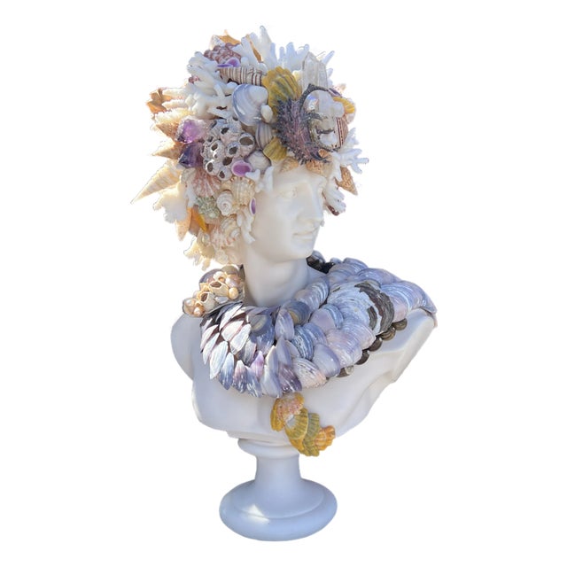 CSS 15" Seashell Apollo Bust For Sale