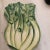 Italian Hand Painted Celery Ceramic Mold Italian Trivet For Sale - Image 3 of 8
