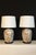 Early 20th Century Chinese Imari Style Lamps - a Pair For Sale - Image 11 of 12