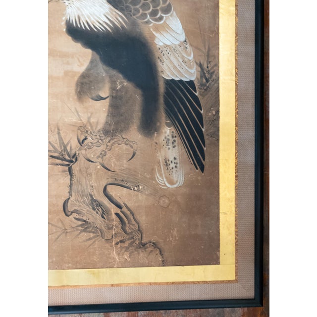 18th Century Japanese Edo Period Kano School Watercolor Painting of a Hawk For Sale In New York - Image 6 of 15