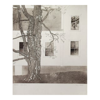 Tessa Beaver, White Pine, Circa 1980 For Sale