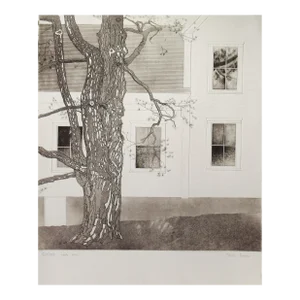 Tessa Beaver, White Pine, Circa 1980