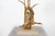 Beige Vintage Table Lamp by Lanciotto Galeotti, 1970 For Sale - Image 8 of 15