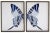 Split Blue Butterfly with Tail in black and silver moulding. 2 frames make up this set.