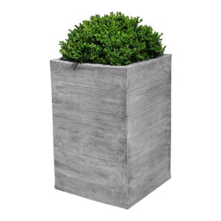 Chênes Brut Tall Box Planter For Sale