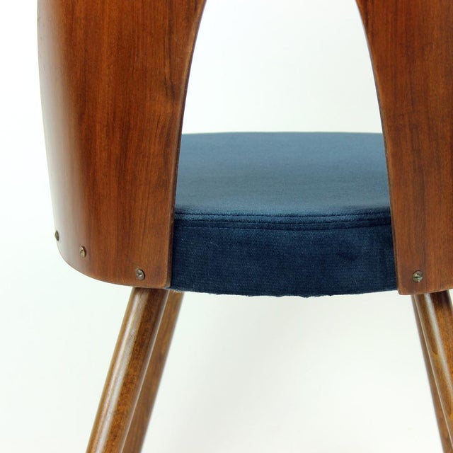 Tatra Chairs in Walnut and Velvet by Šuman, 1960s, Set of 6 For Sale - Image 17 of 18