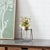 Kenneth Ludwig Chicago Hanging Glass Jar Vase with Metal Stand (Set of 2) For Sale - Image 4 of 8