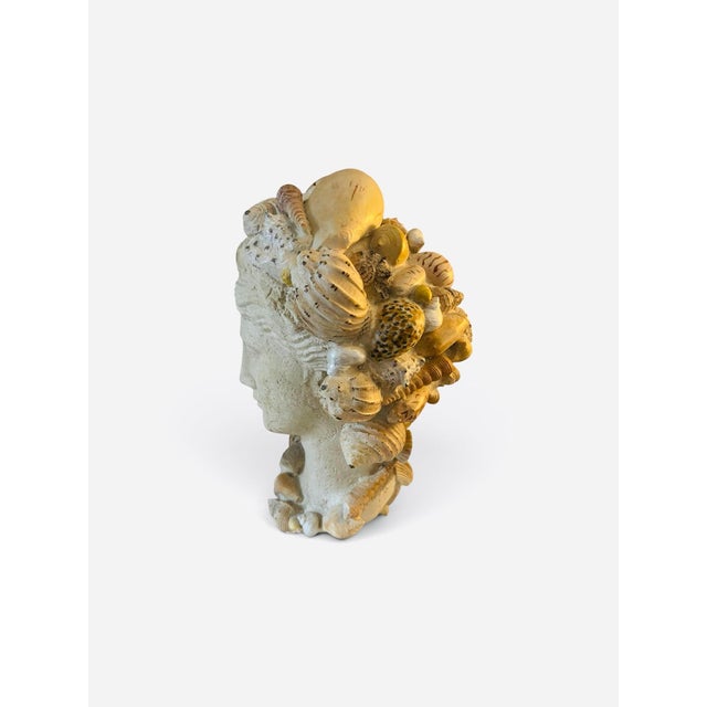 Maitland - Smith Shell Encrusted Bust For Sale - Image 4 of 5
