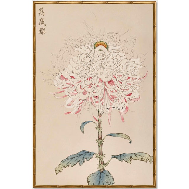 White Mum by Hasegawa, Vintage Japanese Botanical Art Print, 24" X 36" For Sale In Buffalo - Image 6 of 10