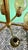 Mid 20th Century Danish Modern Brass and Glass Chandelier For Sale - Image 11 of 13