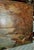 Antique Winter Scene Oil Painting, S. Kurtz For Sale - Image 4 of 7