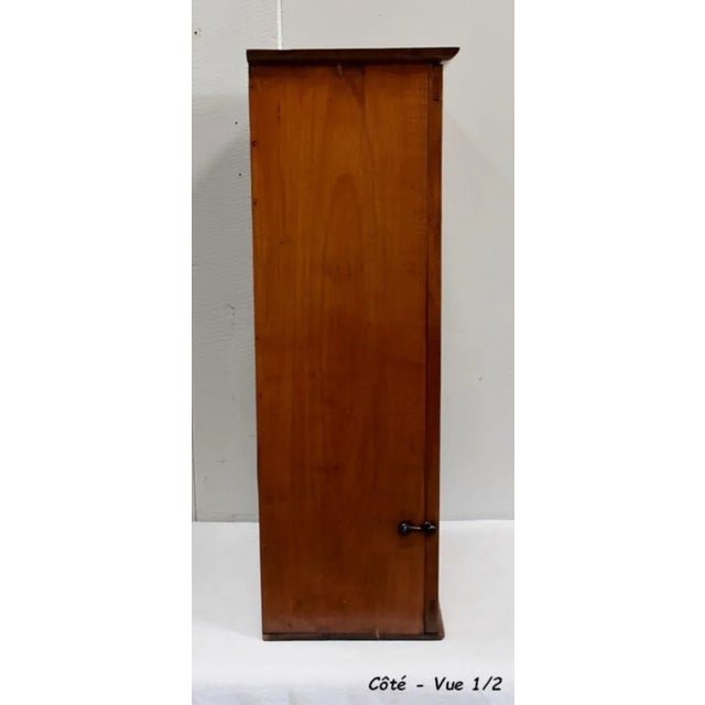 Small 19th Century Birch Wall Display Cabinet For Sale - Image 13 of 18