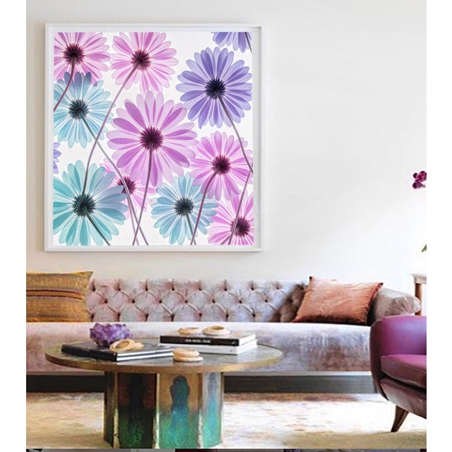 A color photograph of a translucent and purple flower. Printed on 300gsm Archival Fine Art Paper.