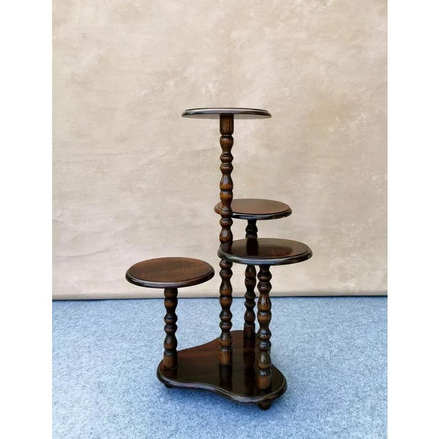 1950s Vintage 4-Arm Plant Stands in Oak, Germany, 1940 / 50s For Sale - Image 5 of 12