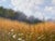 2000 - 2009 2003 Patrice Marchal “Marguerites” French Wildflower Landscape Oil on Canvas Painting, Framed For Sale - Image 5 of 12
