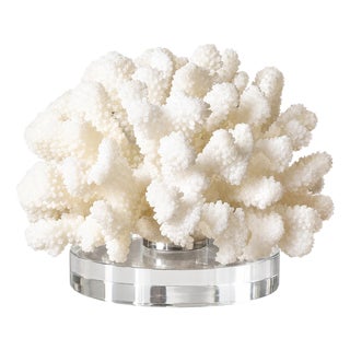 White Coral on Lucite Base For Sale