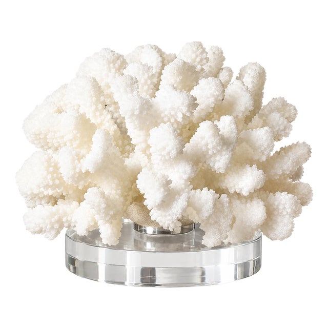 White Coral on Lucite Base For Sale