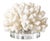 White Coral on Lucite Base For Sale