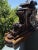 Large 19th Century Carved Black Forest Mantel Clock For Sale - Image 12 of 15