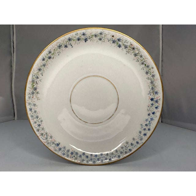 Antique Hand Painted Forget Me Not Doves Cup and Saucer c. 1900 For Sale - Image 6 of 9