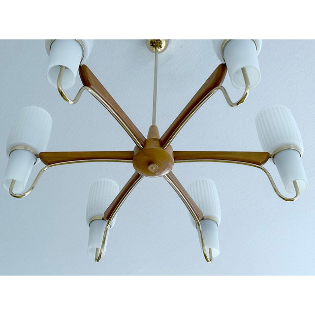 Large Scandinavian Style Pendant Light in Glass and Teak from Temde, 1960s For Sale - Image 18 of 18