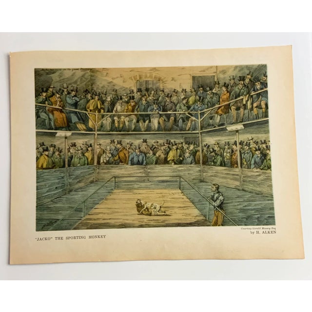 1948 Book Plate Print of a Bull Terrier Dog For Sale In New York - Image 6 of 7