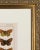 19th Century English Butterfly Print by Kappel and Kirby C.1895 For Sale In New York - Image 6 of 6