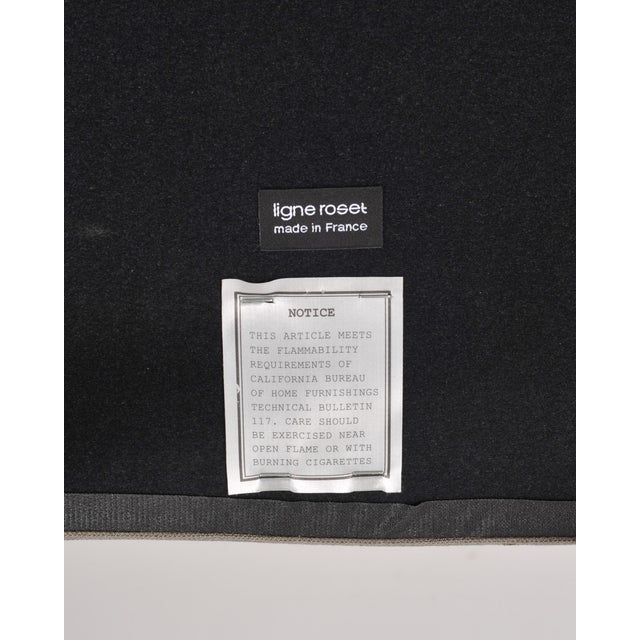 Set of Ten Didier Gomez for Ligne Roset Dining Chairs For Sale - Image 12 of 18