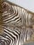 5ft 1in × 5ft 8in Zebra Printed Hair on Hide Area Rug For Sale - Image 10 of 12
