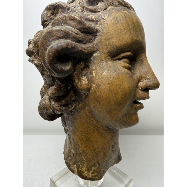 Genovese Artist, Sculpture Depicting the Head of an Angel, 17th Century, Wood For Sale - Image 6 of 18
