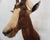 Blesbok Antelope Mount Bust Head For Sale In Los Angeles - Image 6 of 17