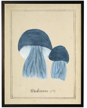 Blue Mushrooms in Black & Copper Shadowbox 13 X 17