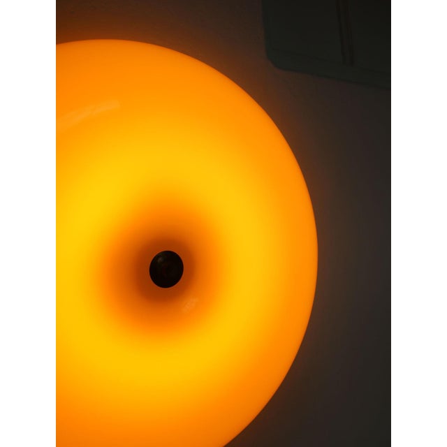Large Mid-Century Modern Italian Acrylic Glass and Brass Wall Lamp For Sale - Image 9 of 18