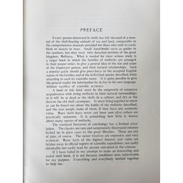 Green The Shell Book by Julia Ellen Rogers, 1936 For Sale - Image 8 of 12