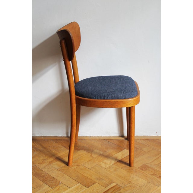 Czech Beech Dining Chair by Up Rousínov from Up Závody, 1960s For Sale - Image 15 of 17