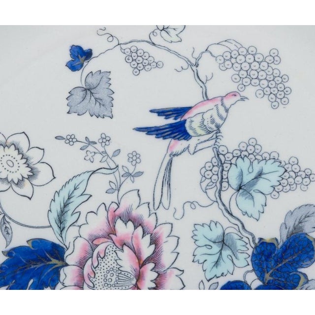 1930s Dinner Plates in Faience from Copeland/Spode, England, 1930s, Set of 6 For Sale - Image 5 of 8